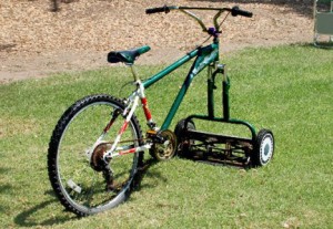 grass cut