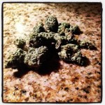 Arney with marijuana