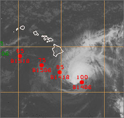 Hawaii Hurricane