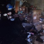IMAG0242