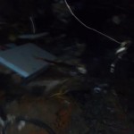 IMAG0254